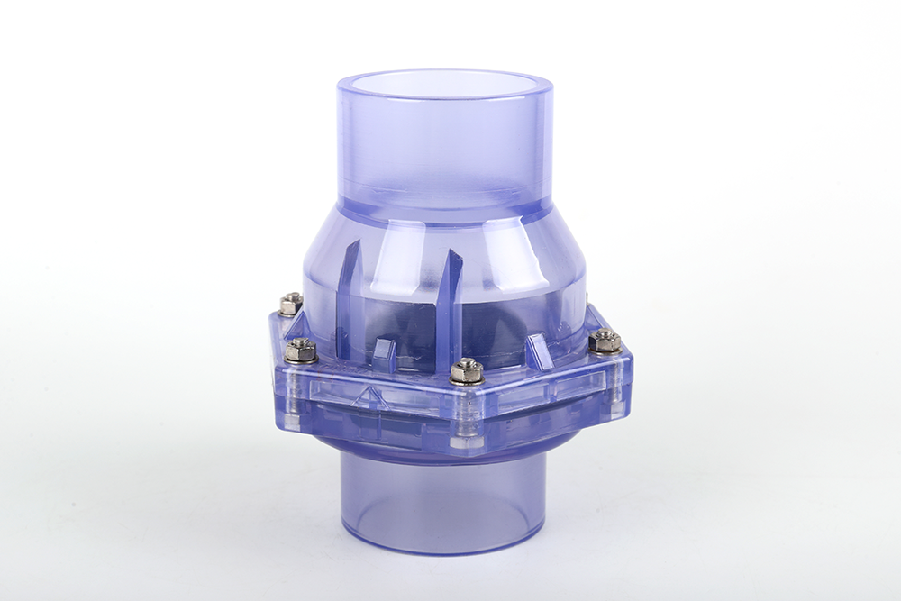 湛江透明翻板式止回阀